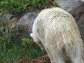 ZOO-Viden 24 srpen 2014 008.JPG